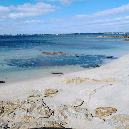L'Ocean A 100M Via Une Venelle Privee, La Ville Close A 500M, L'Archipel Des Glenan A L'Horizon Concarneau Dış mekan fotoğraf