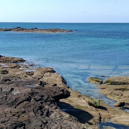 L'Ocean A 100M Via Une Venelle Privee, La Ville Close A 500M, L'Archipel Des Glenan A L'Horizon Concarneau Dış mekan fotoğraf