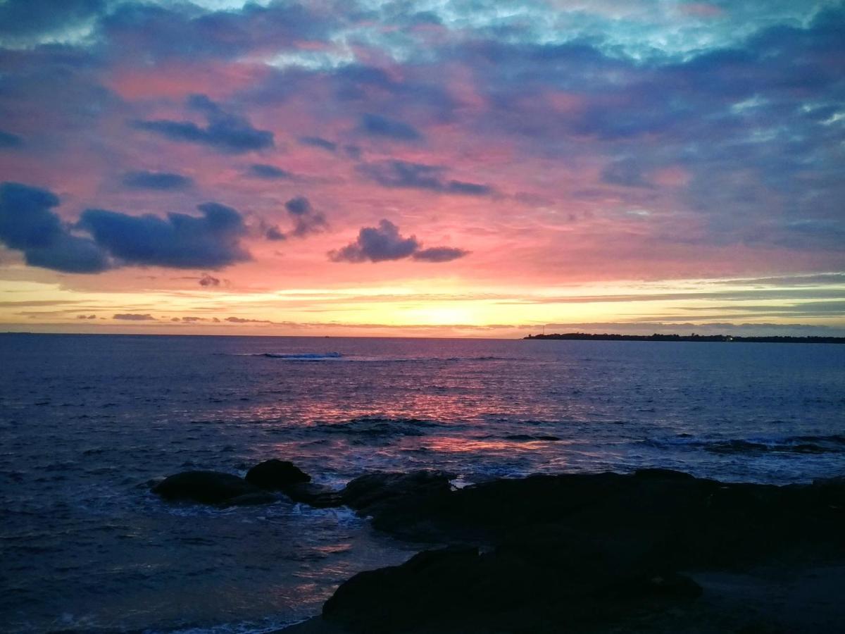 L'Ocean A 100M Via Une Venelle Privee, La Ville Close A 500M, L'Archipel Des Glenan A L'Horizon Concarneau Dış mekan fotoğraf