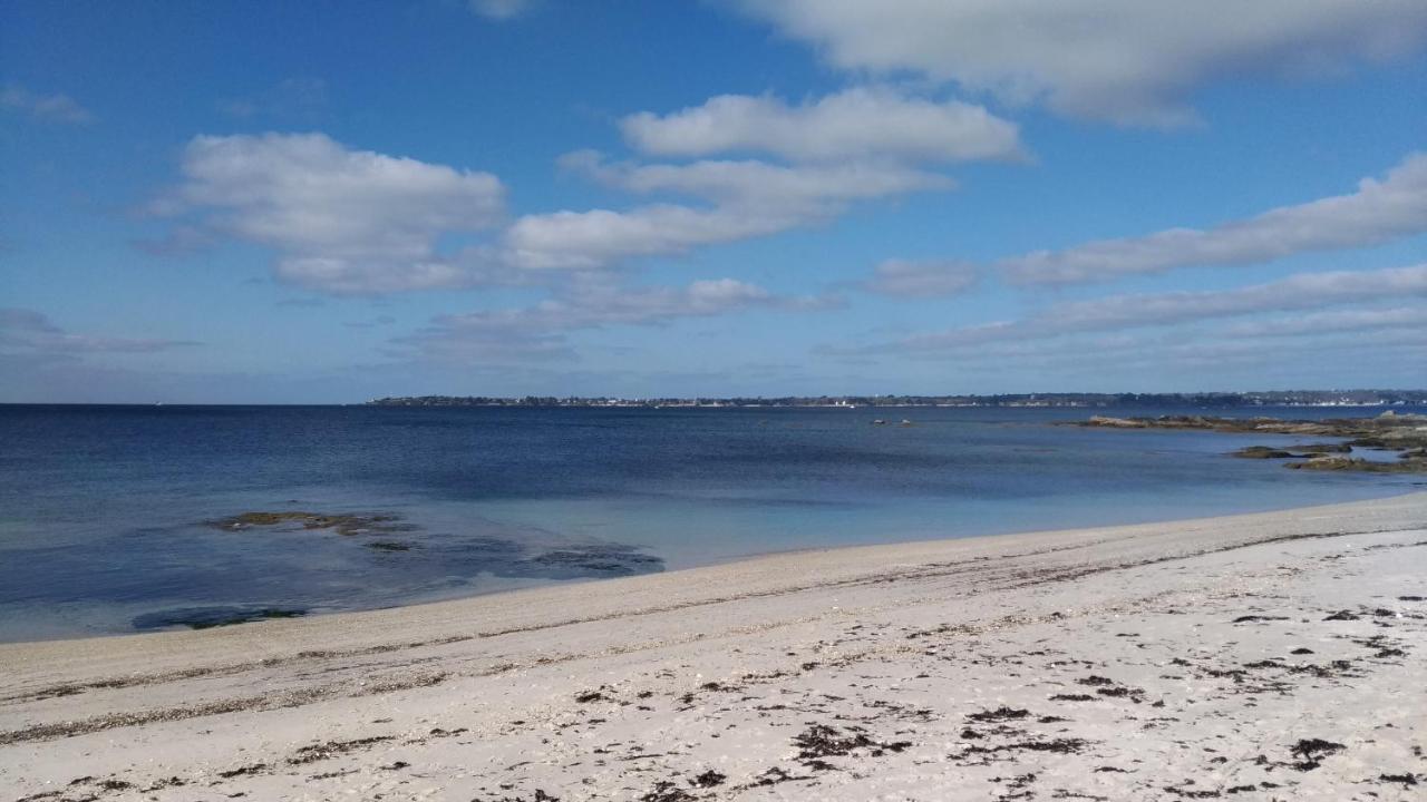 L'Ocean A 100M Via Une Venelle Privee, La Ville Close A 500M, L'Archipel Des Glenan A L'Horizon Concarneau Dış mekan fotoğraf