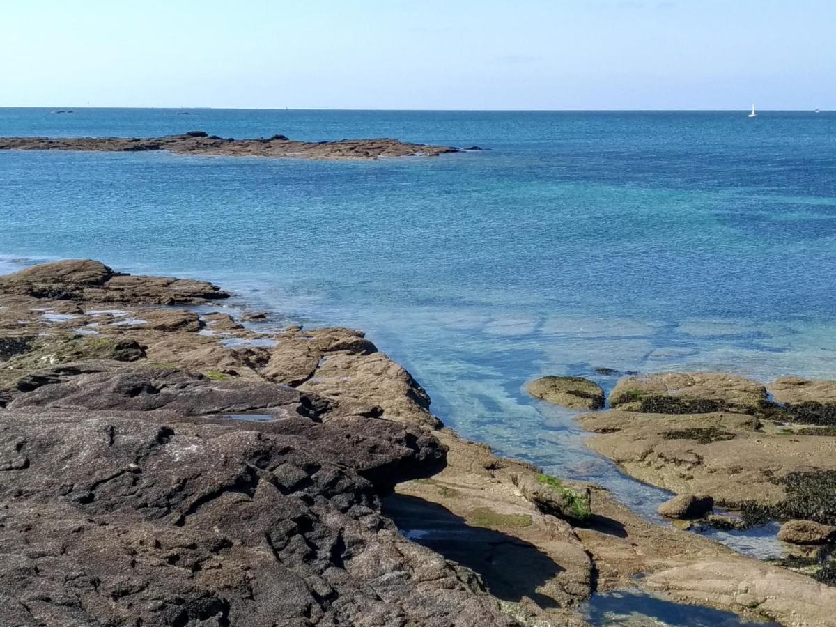 L'Ocean A 100M Via Une Venelle Privee, La Ville Close A 500M, L'Archipel Des Glenan A L'Horizon Concarneau Dış mekan fotoğraf